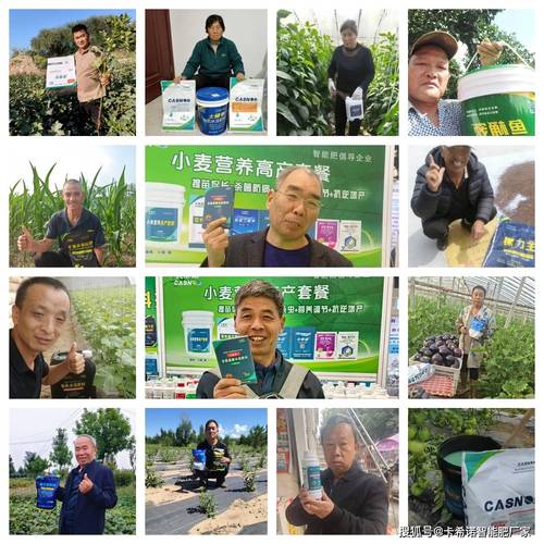卡希诺水溶肥实测到底好不好？深度解析水溶肥的真实效果