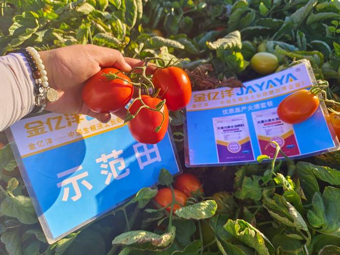 水溶肥选择记住这3招，肯定错不了