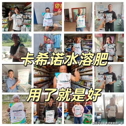 西红柿用什么牌子的高钾水溶肥——一篇实用选购与使用指南