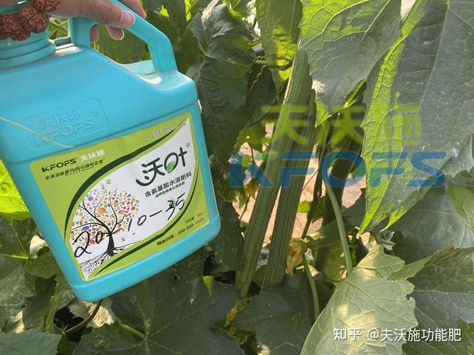 水溶肥厂家产品具备这些，值得信赖！