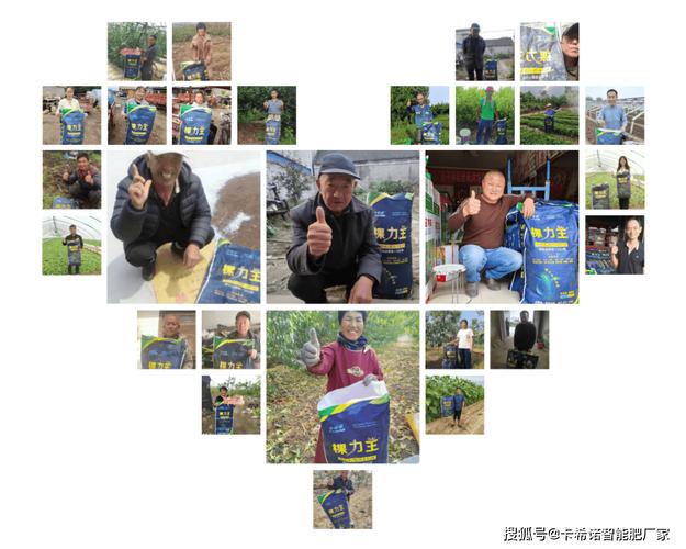 2026年颗粒水溶肥选购指南 主流品牌深度解析与避坑建议
